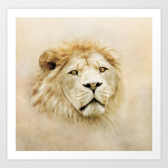 Lion Art Print