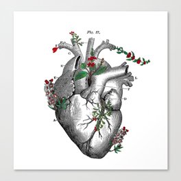 Botanic heart Canvas Print