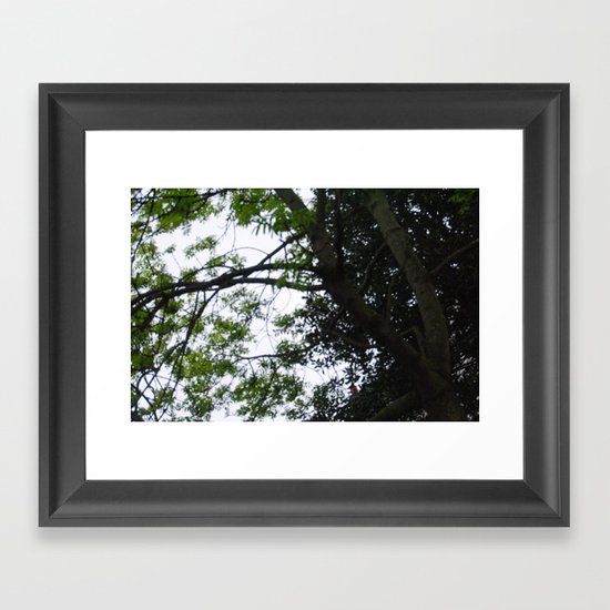 A Thousand Stories Tall. Framed Art Print