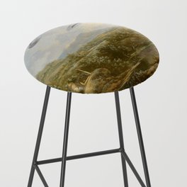 They were here all along / Countryside Bar Stool
