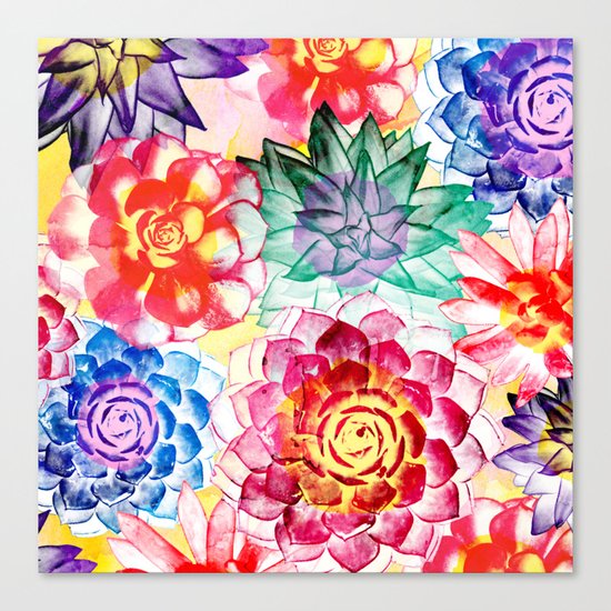 Colorful Succulents Canvas Print