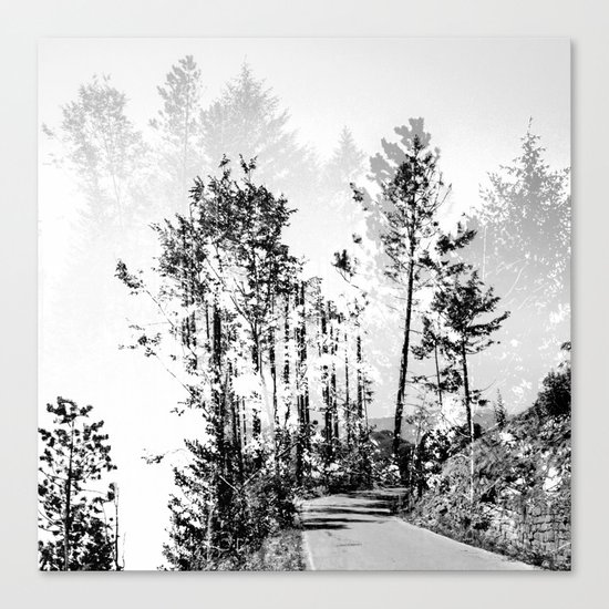 Woodland Canvas Print