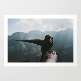 A wild Bird - landscape photography Art Print