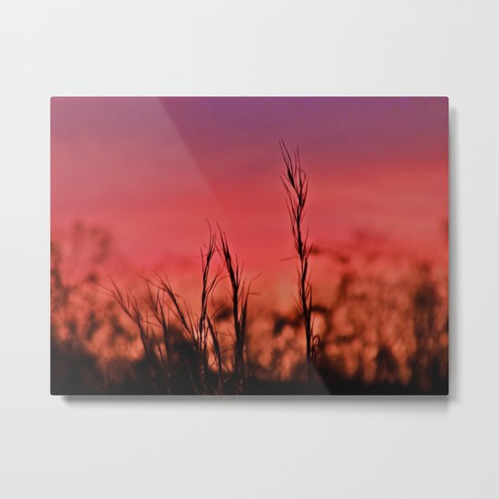 Losing Light Metal Print