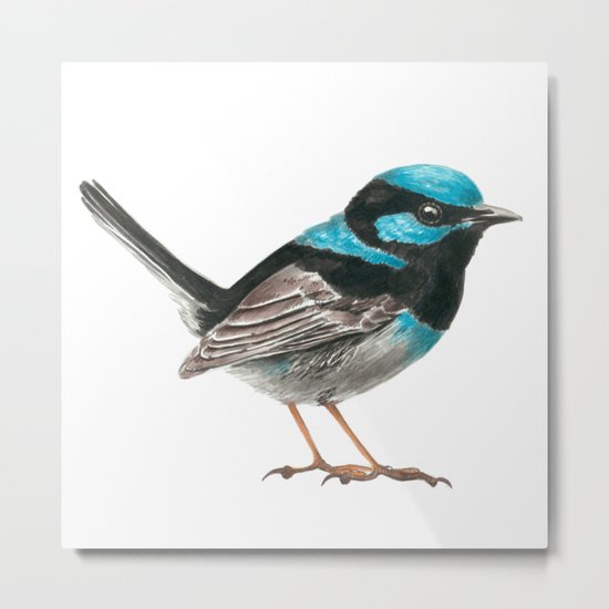Fairy wren bird Metal Print