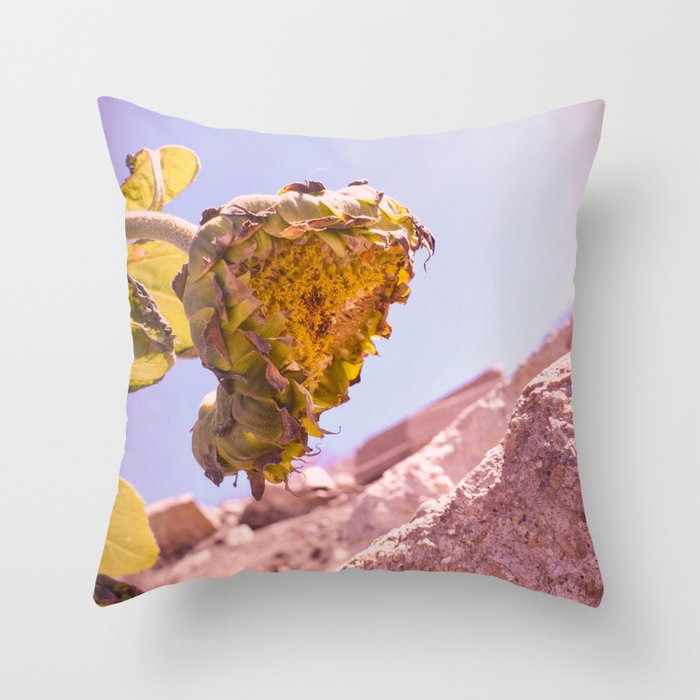 Hanging Her Head - California Coastal Sunflower Throw Pillow