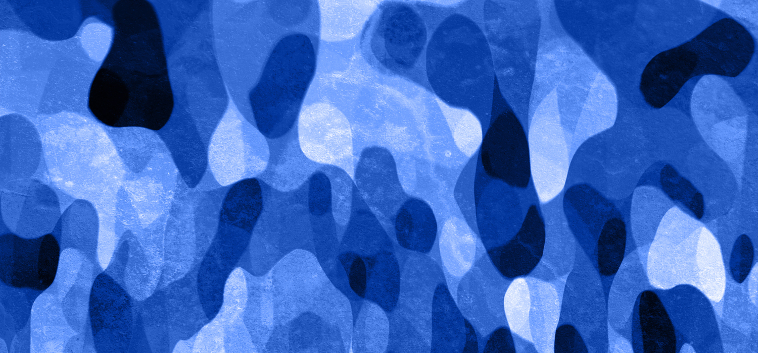 blue & white checkerboard vans