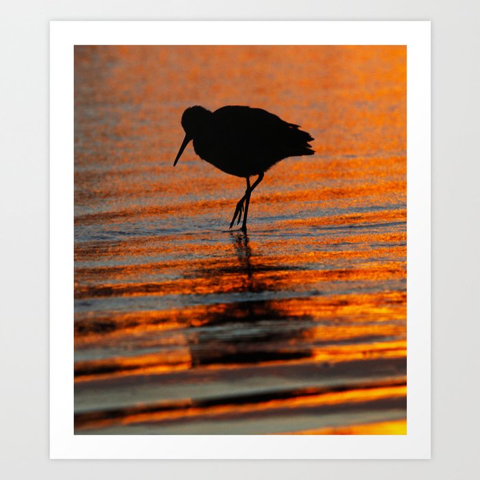 Sandpiper Sunset Huntington Beach Ca Art Print By Johnminar Society6 Sandpiper Sunset Huntington Beach Ca Art Print