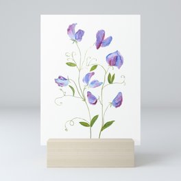 purple sweat peas watercolor 2021  Mini Art Print