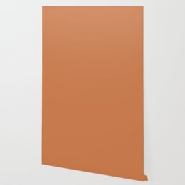 Burnt Orange Single Solid Color Coordinates with PPG Cazuela PPG17-23 Color Crush Collection Wallpaper