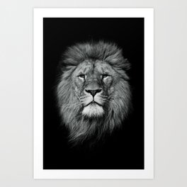 King of the jungle portrait B&W | wildlife photography art Art Print