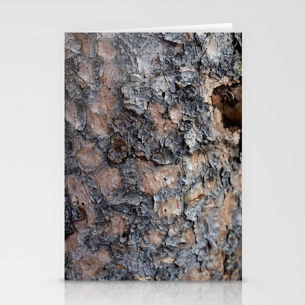 Wood Log Bark Texture from Wyoming Stationery Cards