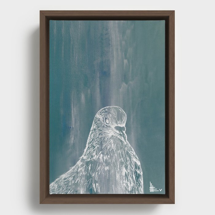 blue pigeon Framed Canvas