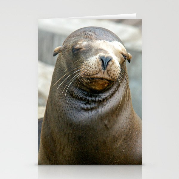 Californian Sea Lion, Monterey, California Stationery Cards