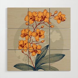  Mini orchids to your garden space Wood Wall Art