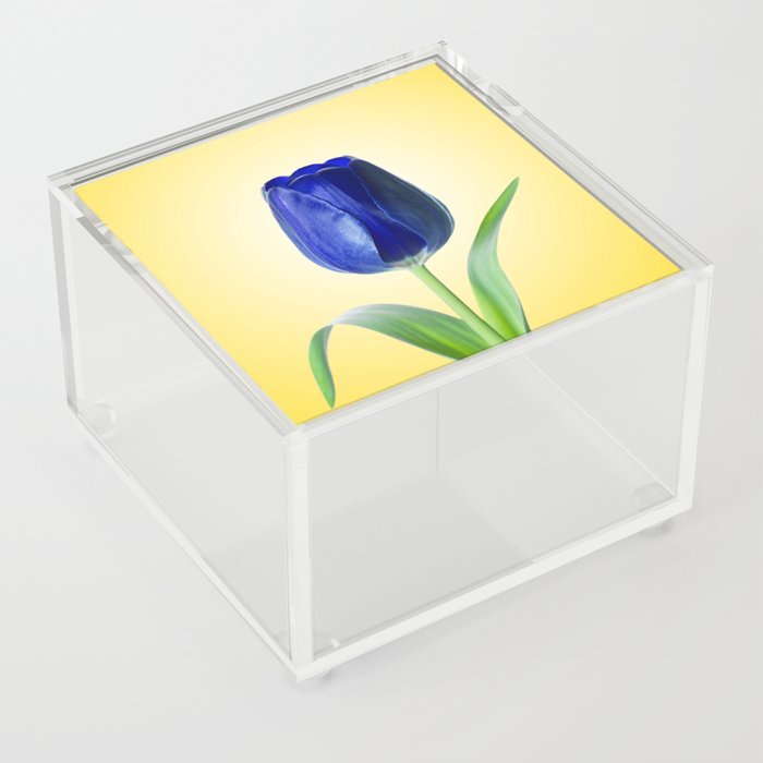 100% Artist Commissions Donated - Floral - Flowers Blue Tulip Minimal Nature Photograph Acrylic Box