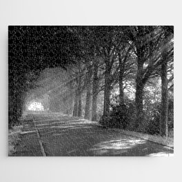 Tuscan Rays of Sun - Tuscany, Italy sunlight through the leafy trees portrait black and white photograph - photography - photographs Jigsaw Puzzle