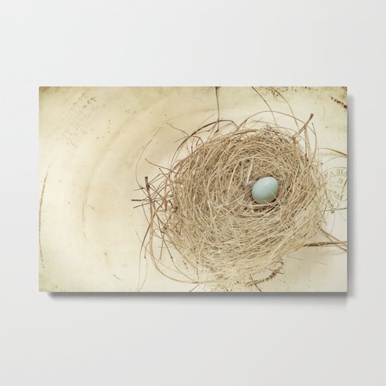 Petit Nest Metal Print