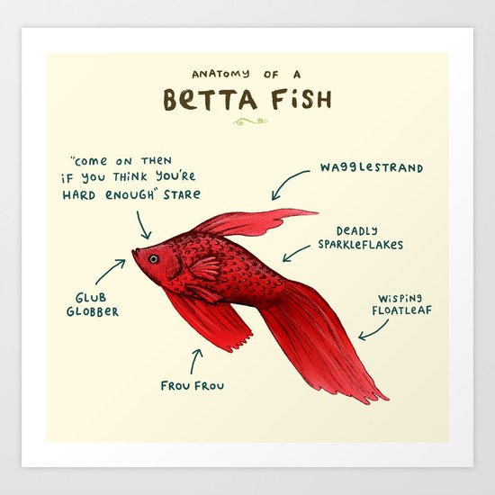 Anatomy of a Betta Fish Art Print