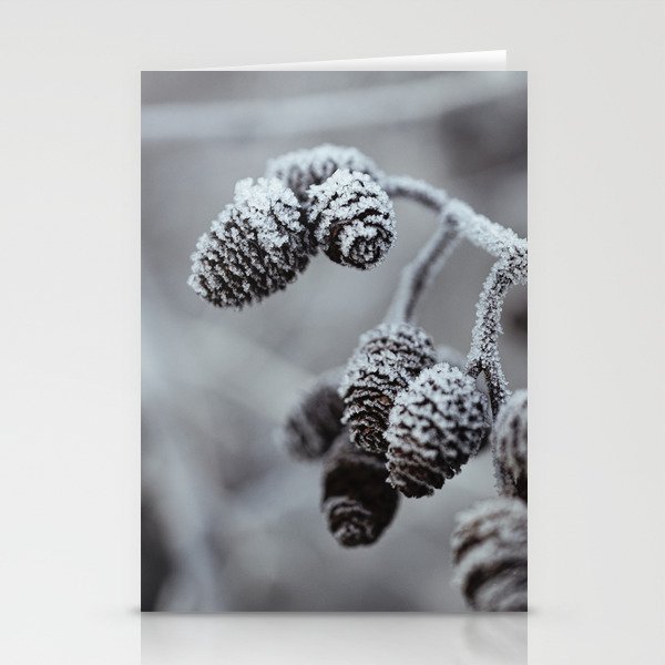 Frozen alder plugs on a tree Stationery Cards