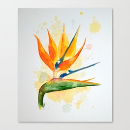 Birds of Paradise Canvas Print