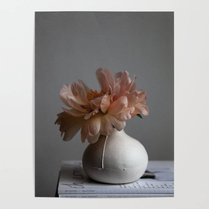 Stilllife of peony on stack of magazines Poster