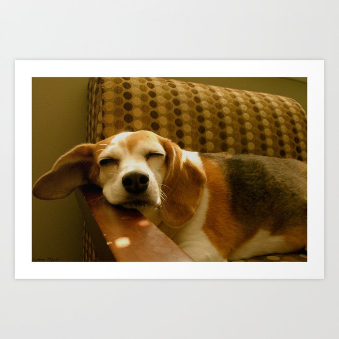 Sleepy Beagle Art Print
