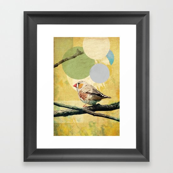Bird Song Framed Art Print