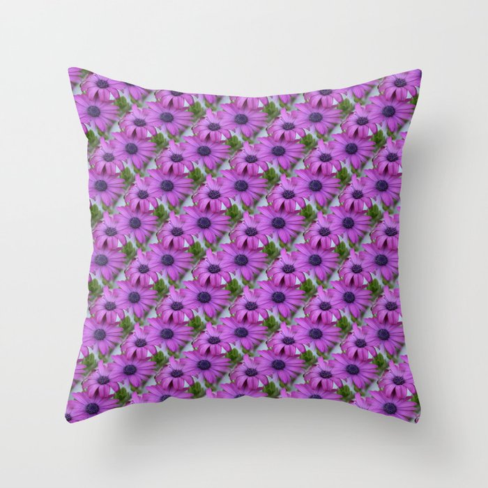 Purple and Pink African Daisy Flowers Throw Pillow
