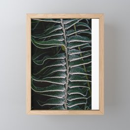 Deep green bracken frond with frost Framed Mini Art Print