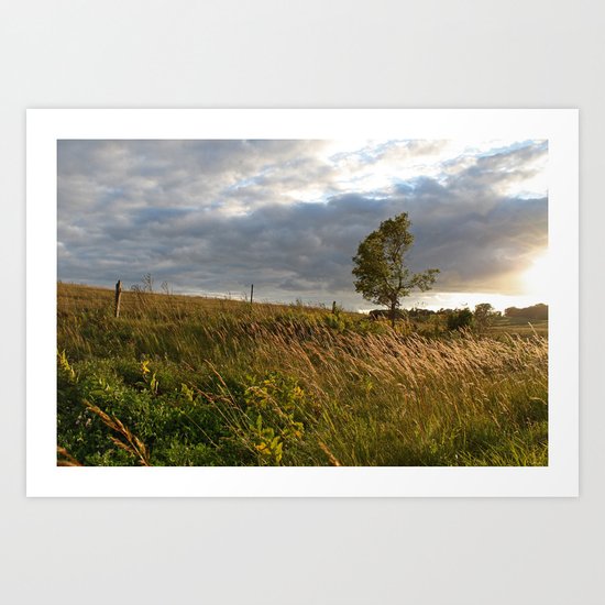 Grow Where You're Planted Art Print