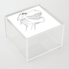 Oh! Dino Acrylic Box