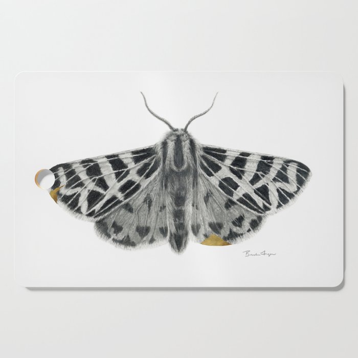Kintsugi - A Graphite Drawing of a Moth by Brooke Figer Cutting Board