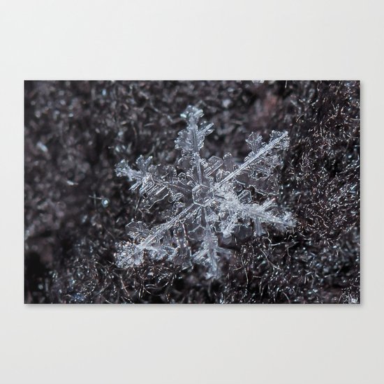 Sowflake Closeup #2 Canvas Print