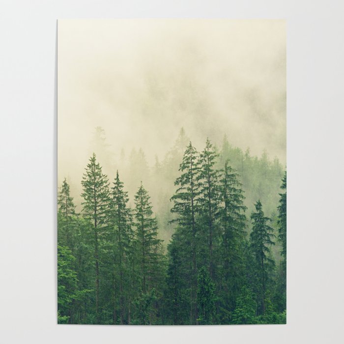 Majestic Forest Poster