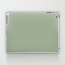 Muted Pastel Green Solid Color Pairs Behr Roof Top Garden S390-4 / Accent Shade / Hue / All One Laptop Skin