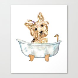 Yorkie Yorkshire Terrier taking bath watercolor Canvas Print