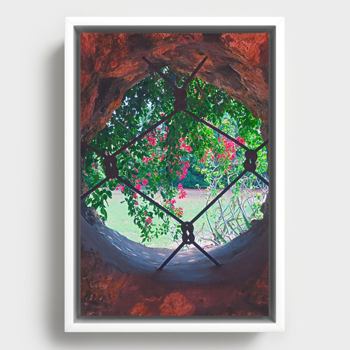 Bromeliad Portal Framed Canvas
