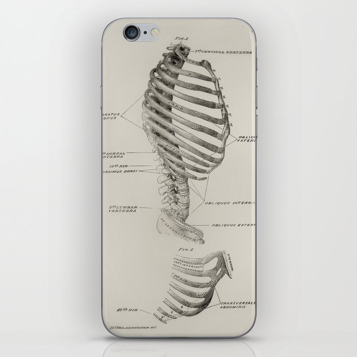 Sideways Skeleton iPhone Skin