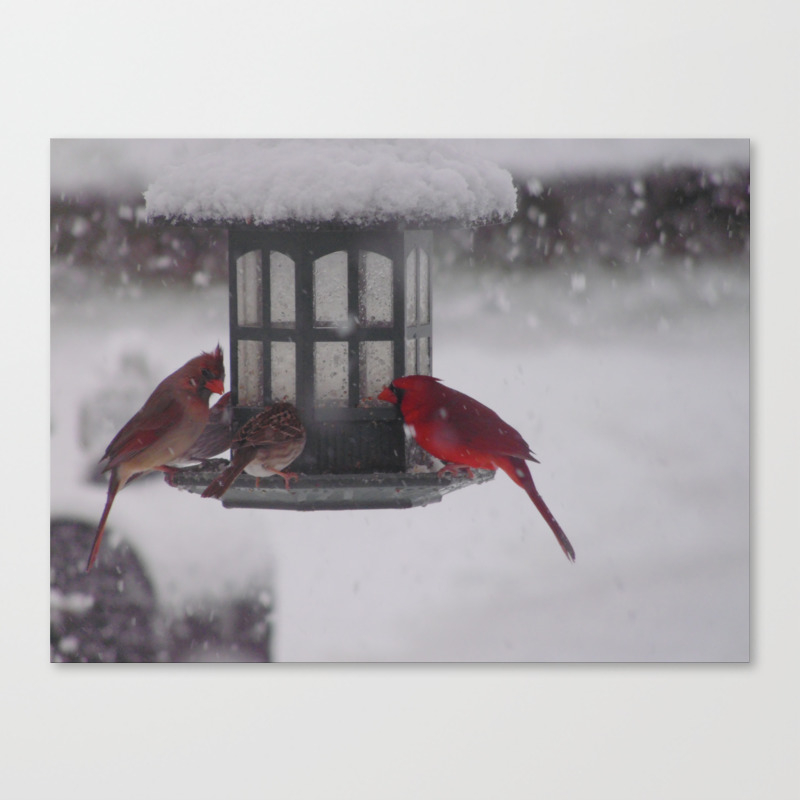Bird Feeder Canvas Print By Art3mis01 Society6