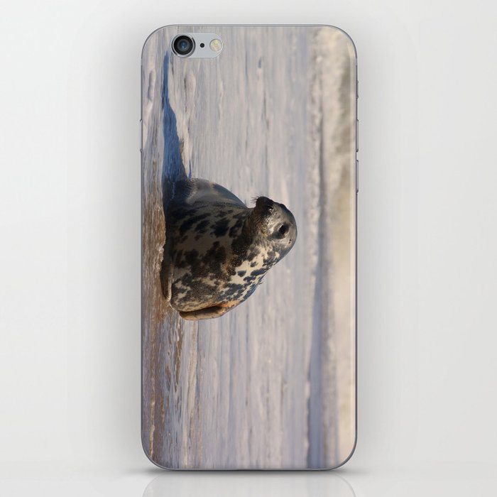 horsey seal iPhone Skin