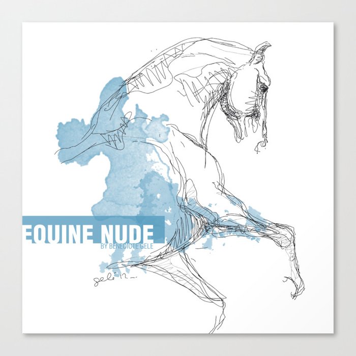 Equine Nude 1 - Horse Drawing Canvas Print