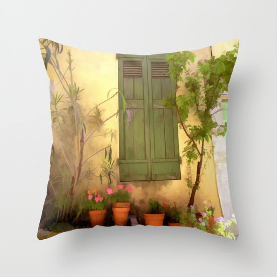 Weathered Beauty Throw Pillow