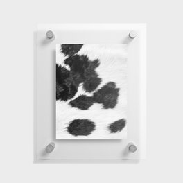 Modern Minimal Cowhide in Black and White Floating Acrylic Print