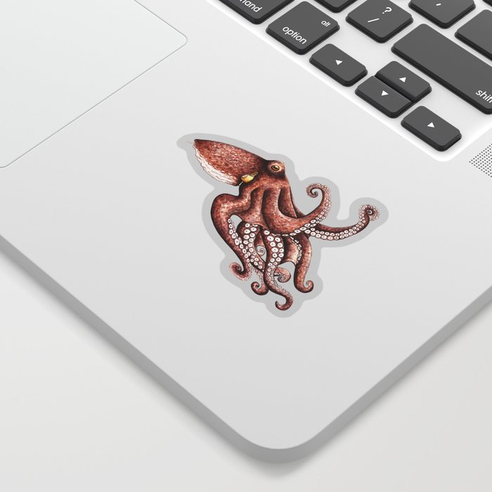 Octopus (Octopus vulgaris) Sticker