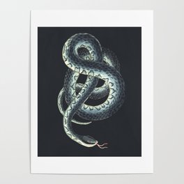 Vintage Snake (black) Poster