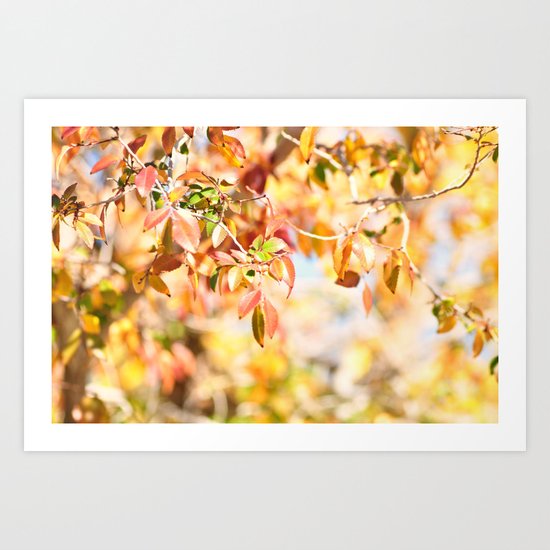 Enchanted... Art Print