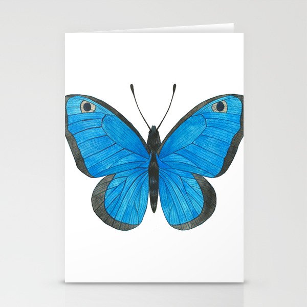 Morpho Butterfly Illustration Stationery Cards