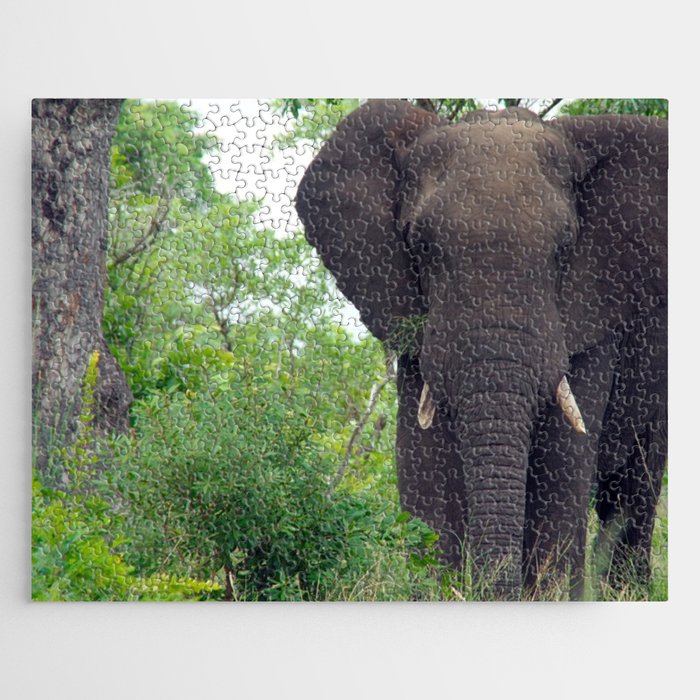 South Africa Photography - Elephant Walking Through The Forest Jigsaw Puzzle