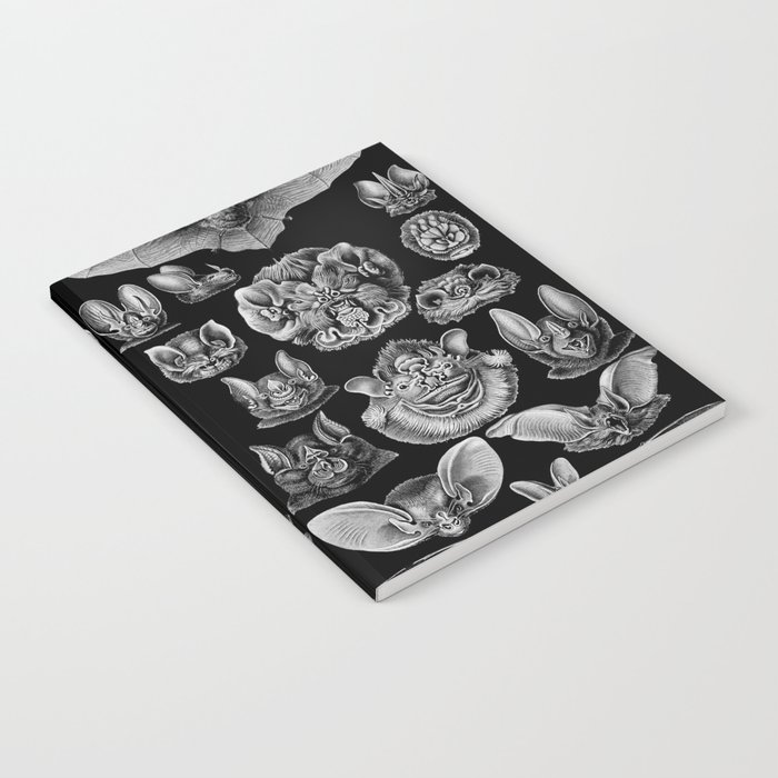 1904 Haeckel Chiroptera Notebook